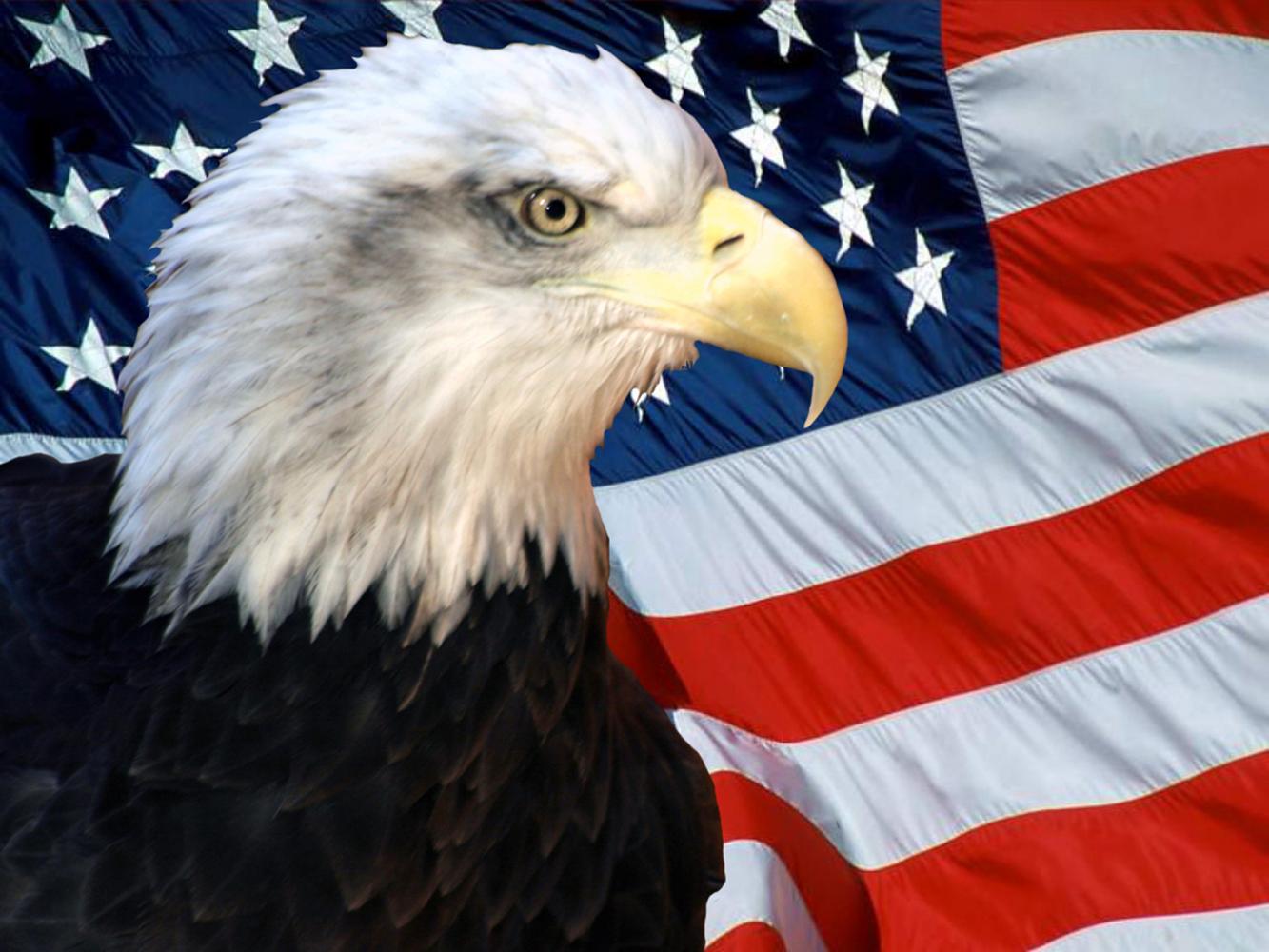 americanbaldeagleinfrontofflag.jpg